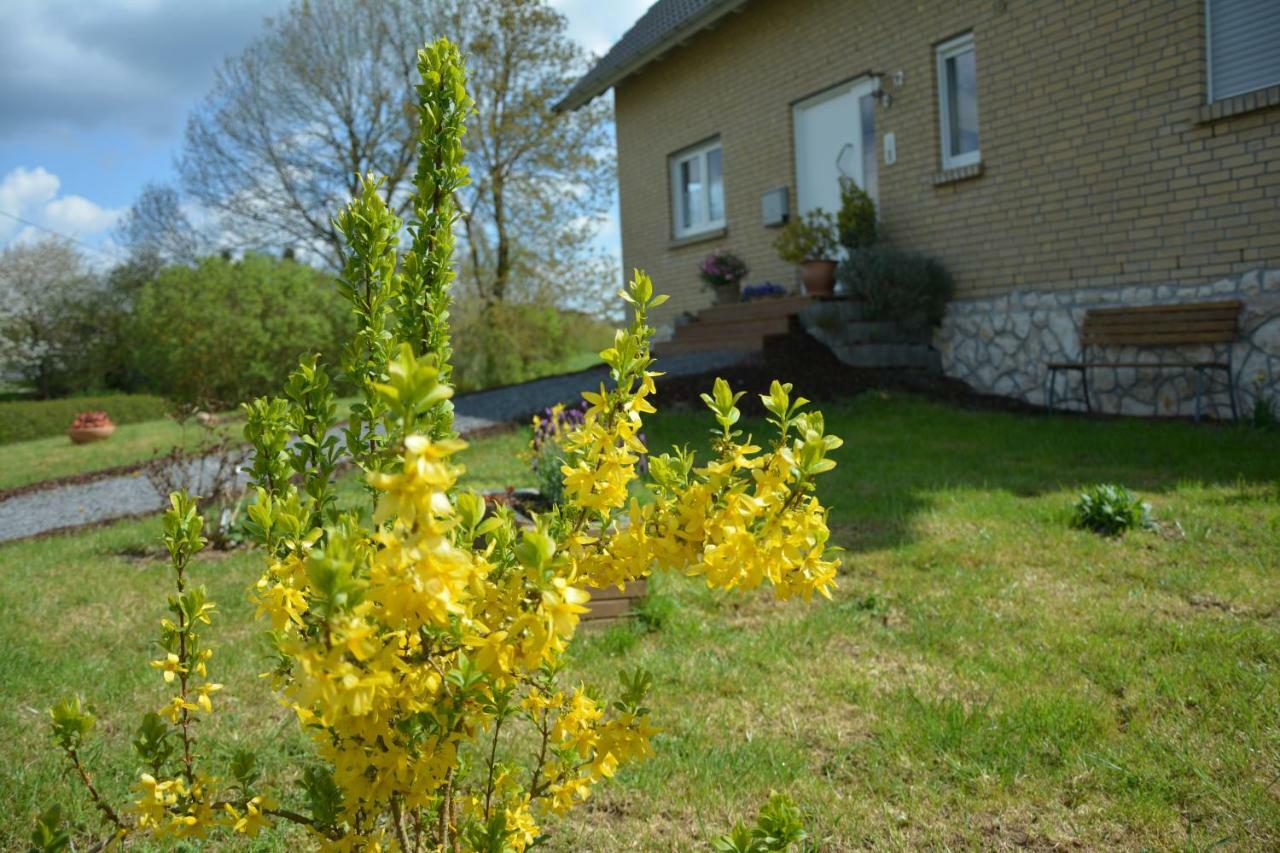 Gaestehaus Celine Meuspath Exterior foto